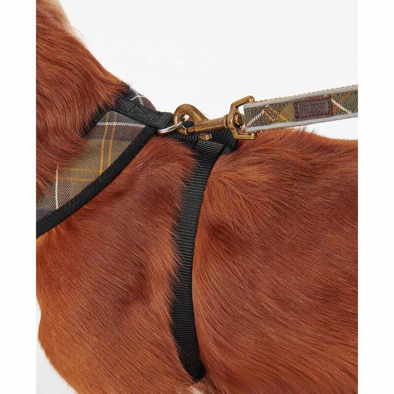 Barbour Tartan Dog Harness image number 2